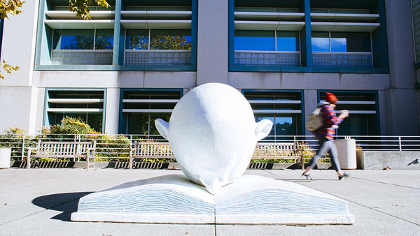 UC Davis Photo